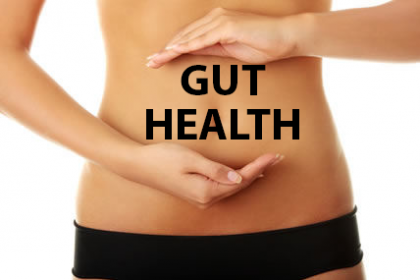 Gut Health